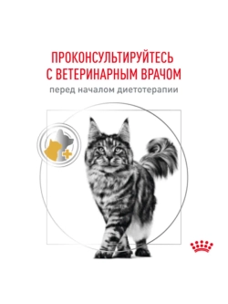 Urinary S/O LP 34 Feline 1,5кг Корм для кошек при МКБ