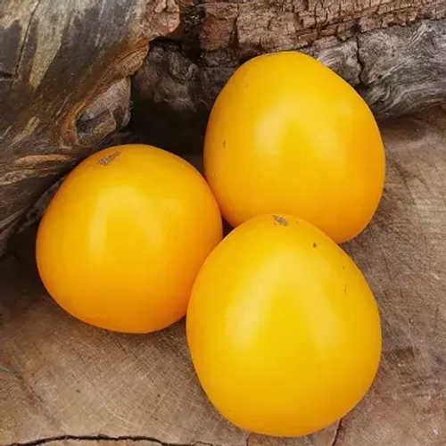 Сердце Мексики