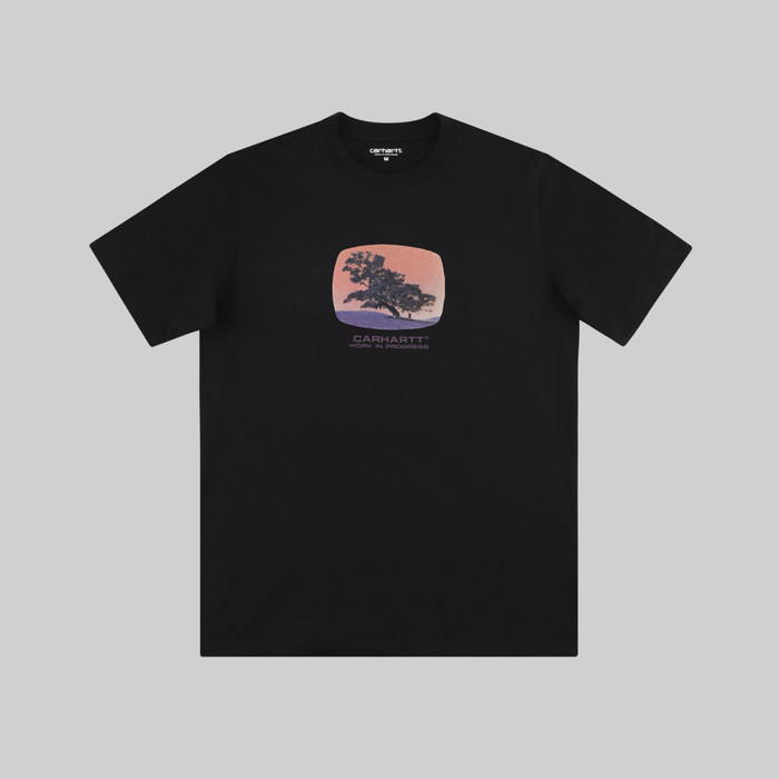 Футболка мужская Carhartt WIP Seeds артикул:I031028 - купить в магазине Дайс