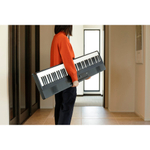 Korg L1