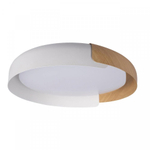 Потолочный светодиодный светильник Loft It Coin 10198 White