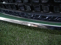 DSCN9575.JPG