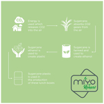 Двухслойный пищевой контейнер MIYO Renew
