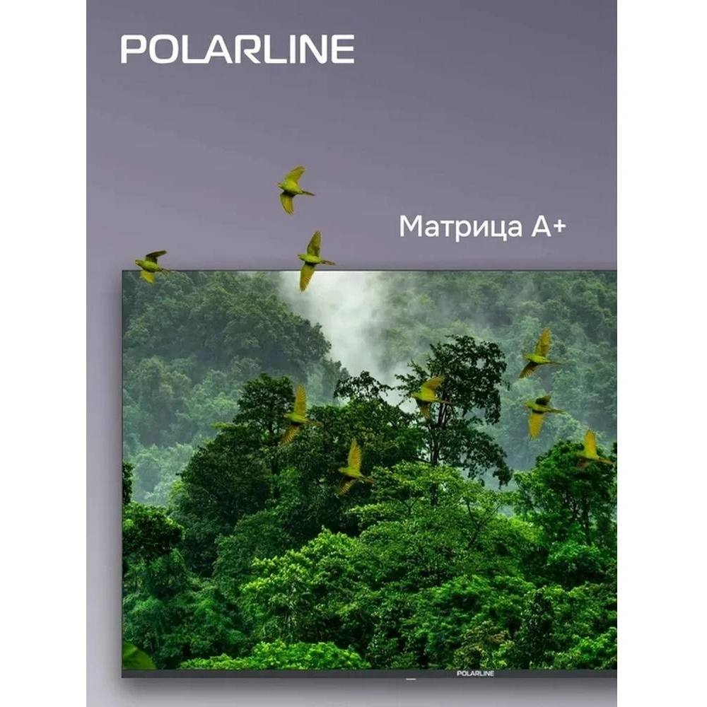 Телевизор PolarLine 50PQ71STC-SM 50" 4K Ultra HD QLED Smart черный/серебристый