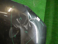 DSCN5596.jpg