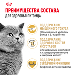 Royal Canin British Shorthair Adult Британская короткошерстная Эдалт Корм сухой для взрослых британских кошек 4кг
