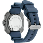 Мужские наручные часы Citizen BN0227-09L