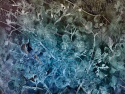AQUARELLE 11