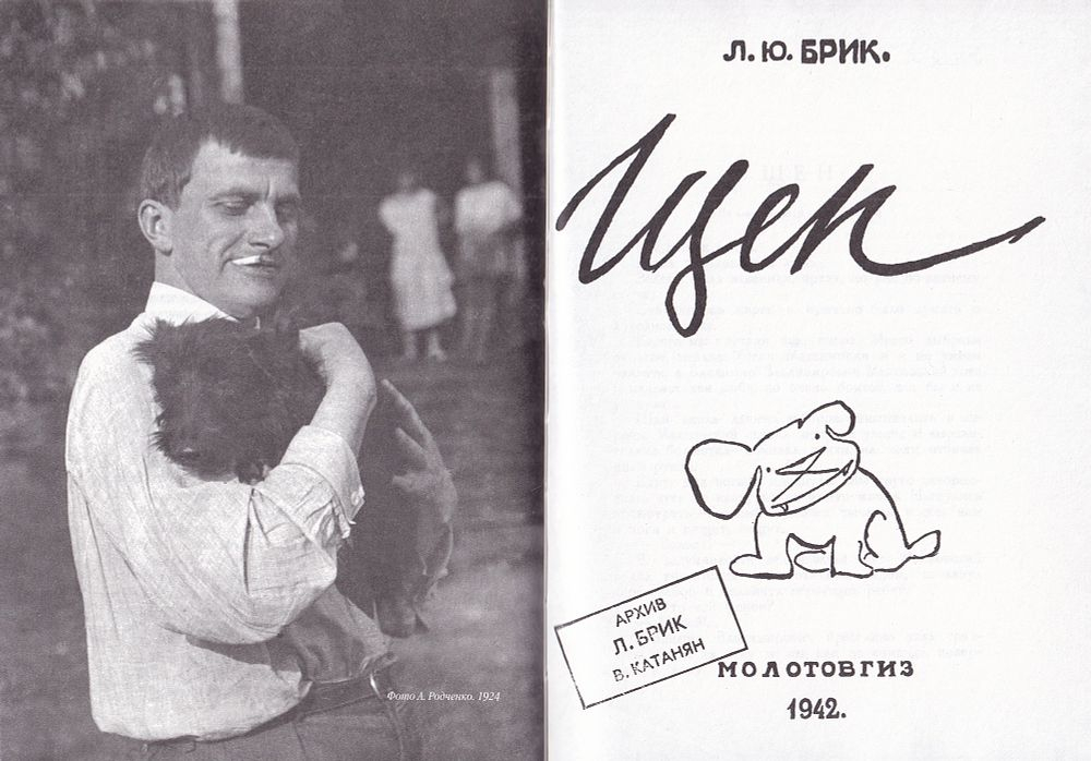 Лиля Брик. Пристрастные рассказы. Воспоминания, дневники, письма