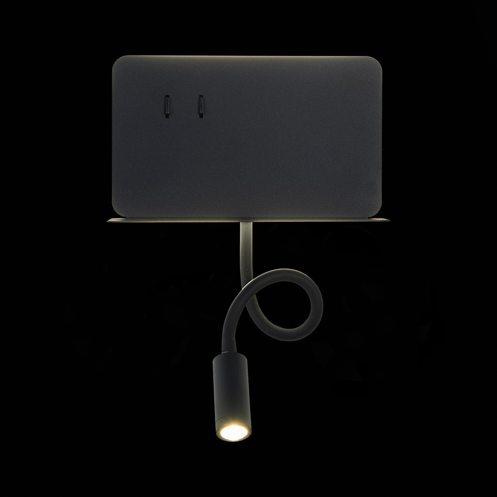 Светильник настенный ST Luce SL1576.401.02