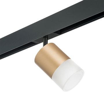Комплект со светильником 1*GХ53 220V PRO349081 золото/белый Rullo Pro Lightstar
