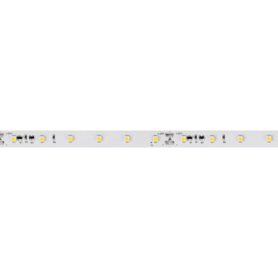 Лента RT-20000 24V White6000 (3528, 60 LED/m, 20m) (Arlight, 4.8 Вт/м, IP20)
