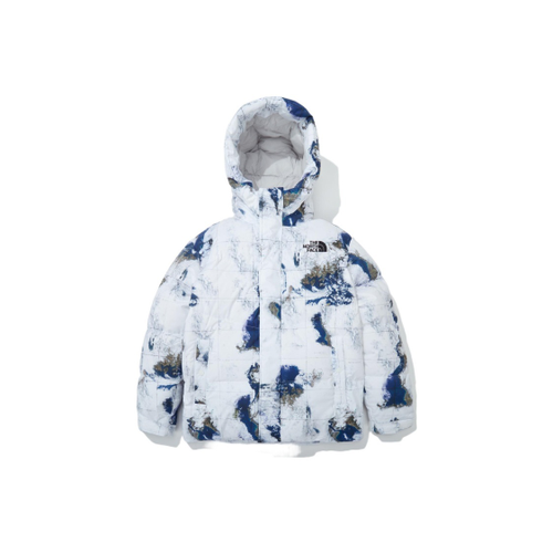 Куртка The North Face Jacket, NJ1DN53J
