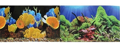 PRIME Фон для аквариума двухсторонний Морские кораллы/Подводный мир