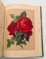 "Nestel`s Rosengarten. [  Сад роз Нестела]". E. Schweizerbartsche Verlagshandlung. 1869г.