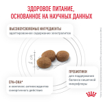 Royal Canin Gastrointestinal Hairball Корм сухой диетический для взрослых кошек 400 г