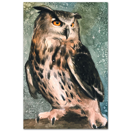 Птицы