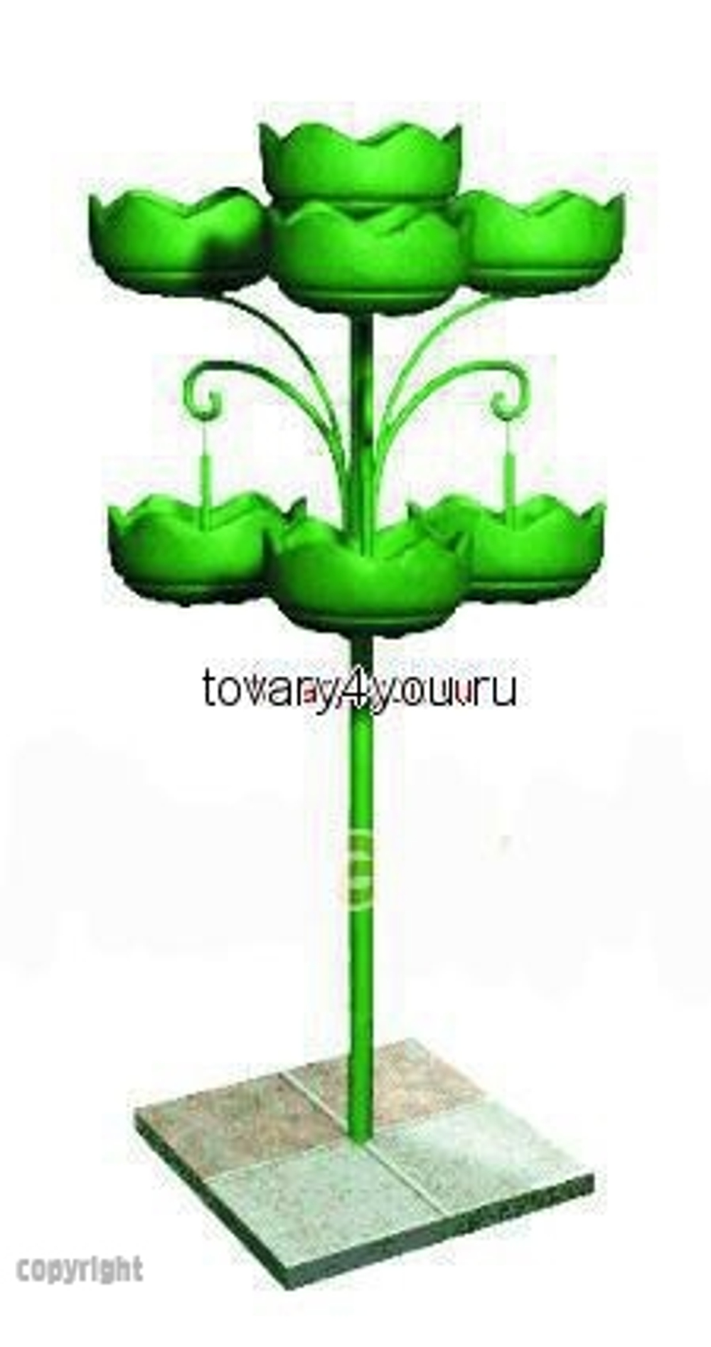 Цветочница Улитка двойная парковая-3