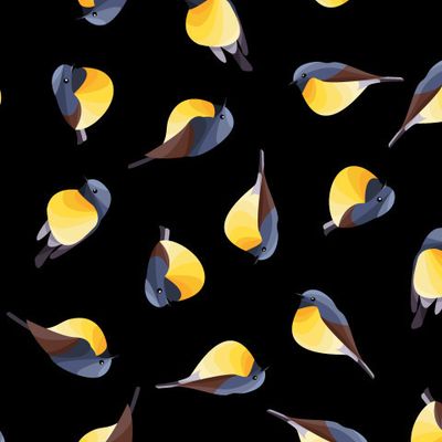 птицы с желтой грудкой на черном фоне