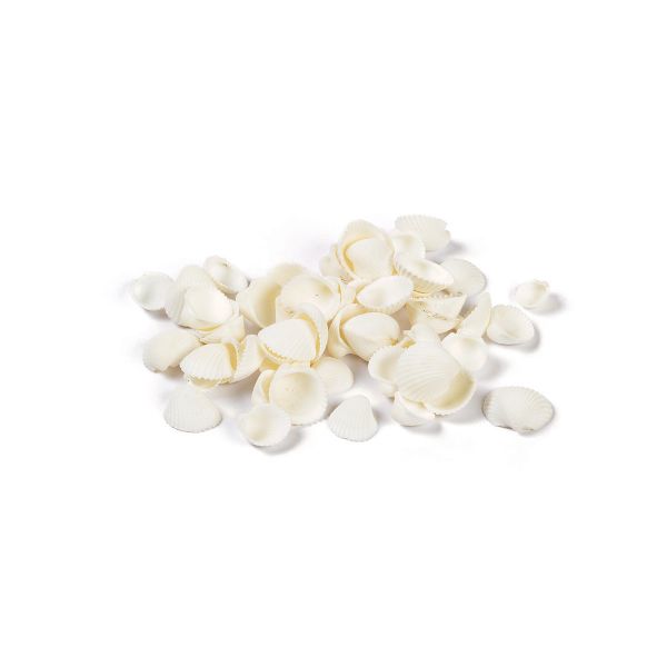 Ракушки декоративные 100 г, ± 5 г, 1.9 см, Clam Rose, Zlatka DRF-031