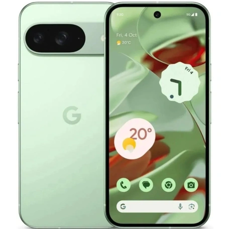 Смартфон Google Pixel 9 GUR25 12/256Gb Wintergreen