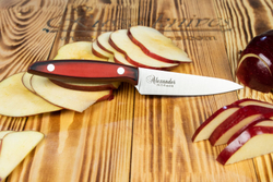 Нож кухонный Alexander SMALL AUS-8 S (Satin, Black-Red G10 Handle)