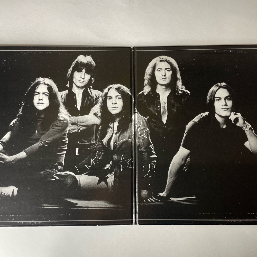 Винтажная виниловая пластинка LP Rainbow, Rainbow Rising (Япония 1976) (Без Оби) Run With The Wolf