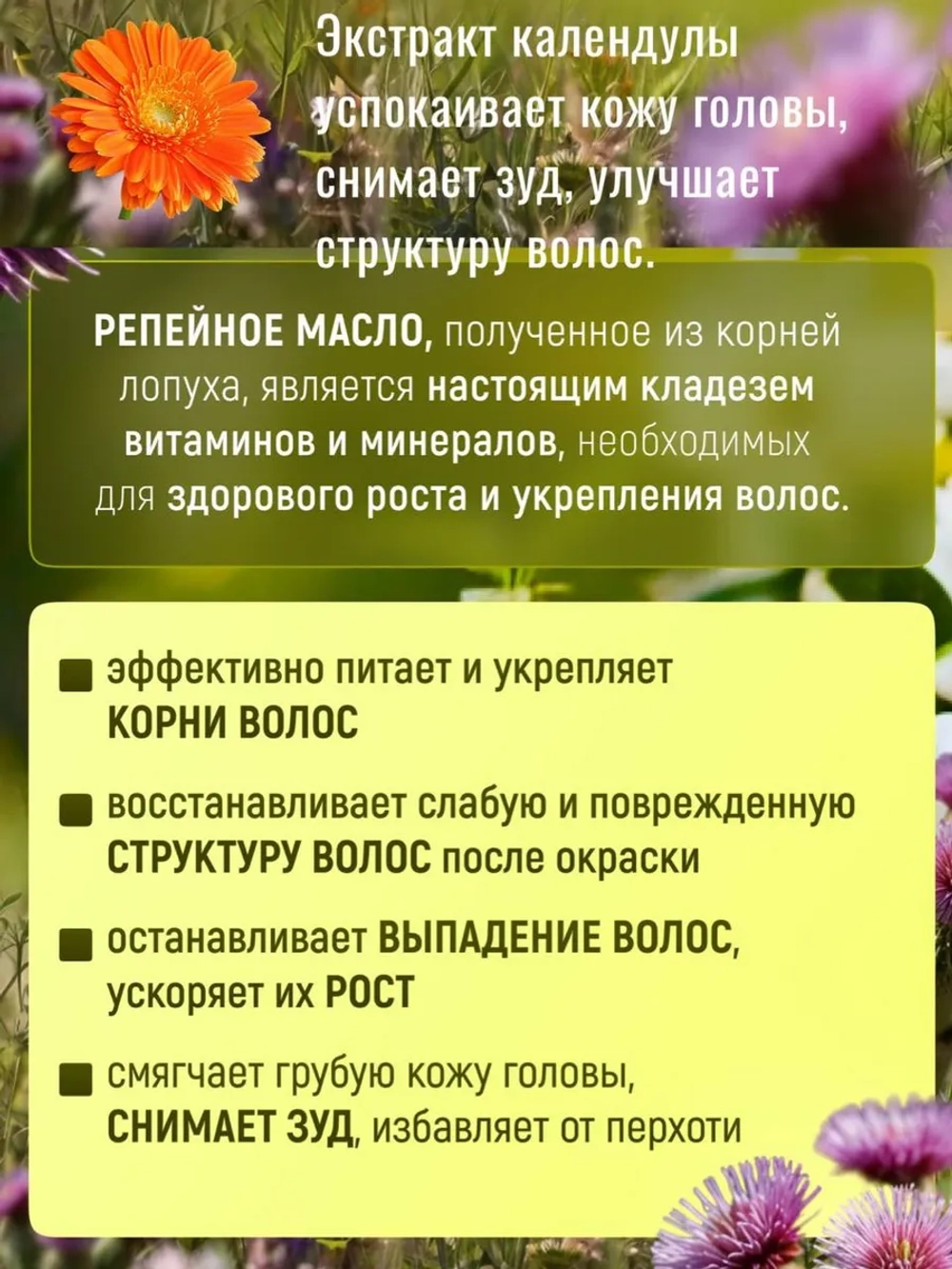 МАСЛО РЕПЕЙНОЕ С КАЛЕНДУЛОЙ ЖИВАЯ КАПЛЯ фл. 50 мл