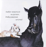 День рождения собаки