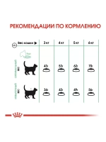 ROYAL CANIN Digestive Care (Роял Канин Дайджетив) сухой корм для кошек 4 кг.