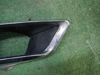 DSCN0781.JPG