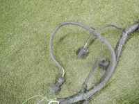 DSCN4478.JPG