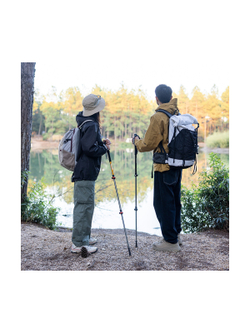Палка треккинговая Naturehike ST01 6061 AL NH17D001-Z  с 3 узлами женская 57-120 зеленый, 6975641885573