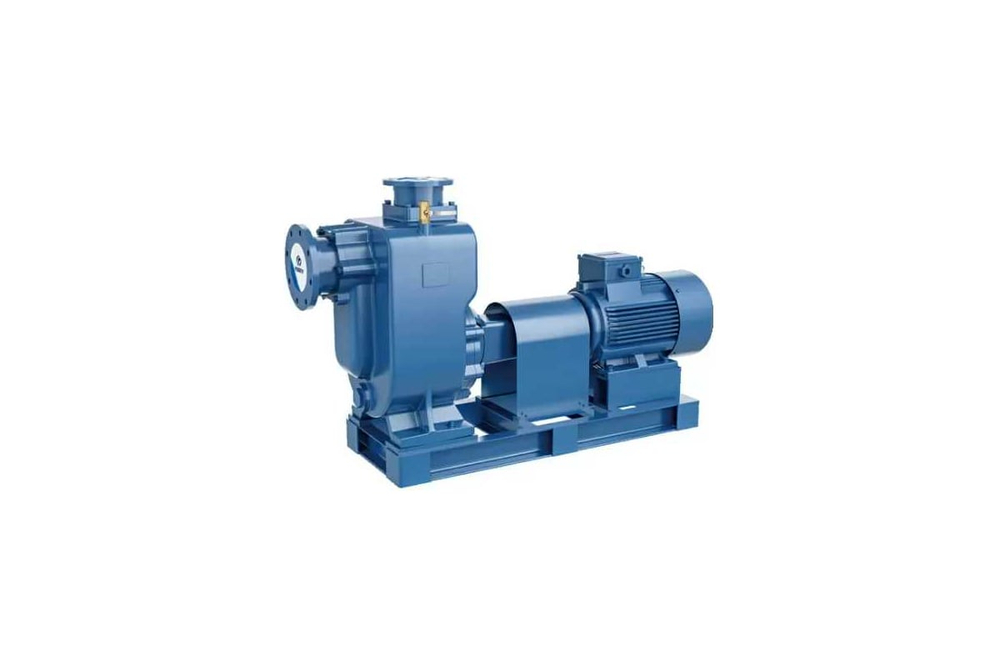 Самовсасывающий насос на раме PURITY PZWM 65-30-18/2