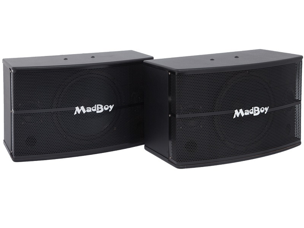 MadBoy Screamer 310
