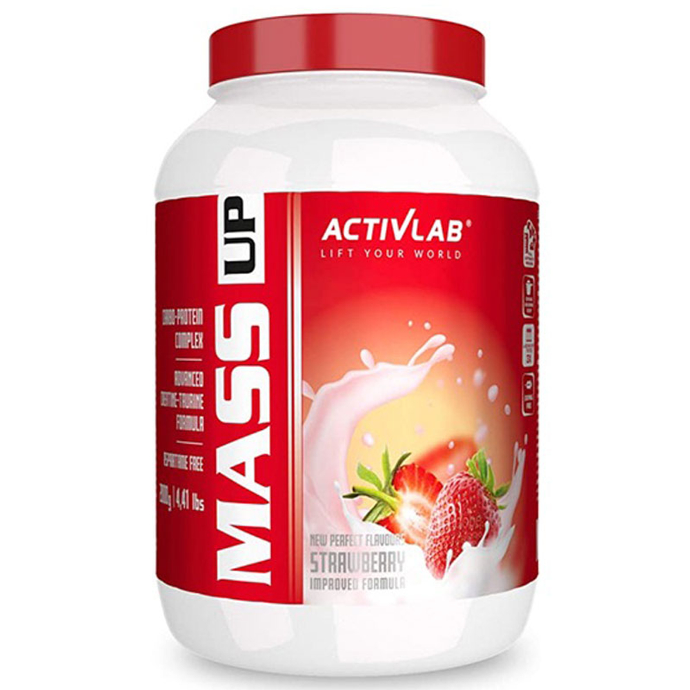 ActivLab Mass UP (2000 гр.)