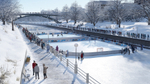 NHL 20