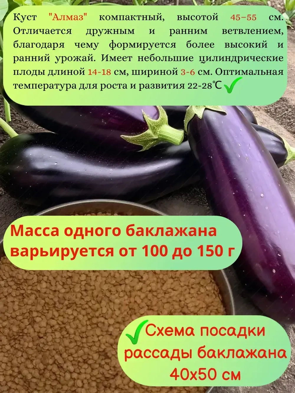 Семена Баклажан набор
