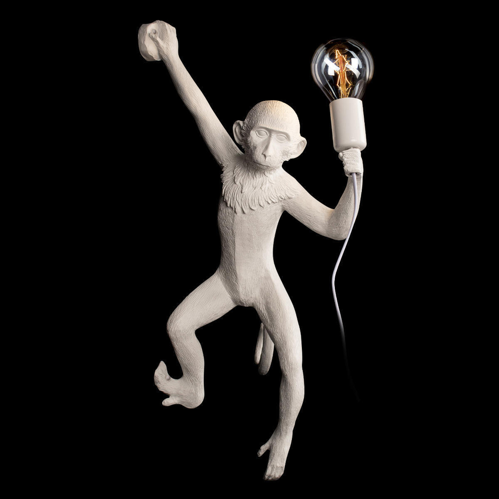 Настенный светильник Loft It Monkey  10314W/B