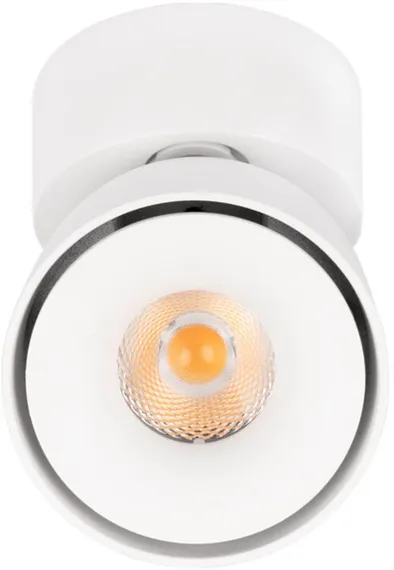 Спот Focus 10323/A White Loft It
