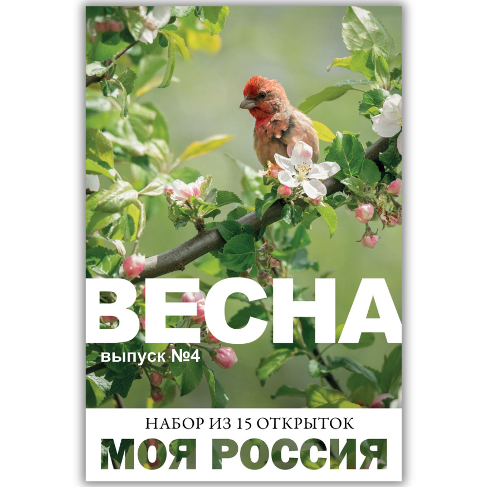 Моя Россия. Весна (выпуск №4, 2025)