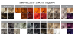 Полуперманентный краситель для тонирования волос - Bouticle Atelier Color Integrative