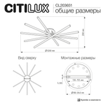 Citilux TRENT CL203651 LED Люстра с пультом Чёрная