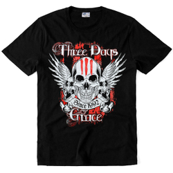 Футболка "Three Days Grace (Since 1992)"