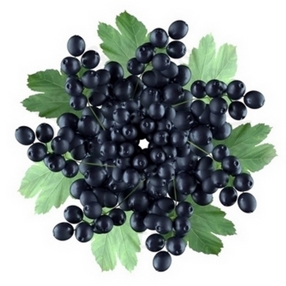 Картридж SOAK Q Forest Blackcurrant / Лесная чёрная смородина (М)