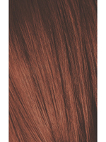 Краска для волос Igora Absolute 6-80 Темный русый красный натуральный Schwarzkopf Professional, 60 мл