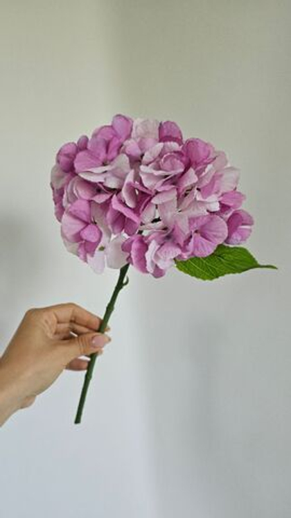 Гортензия срез / Арт 2644