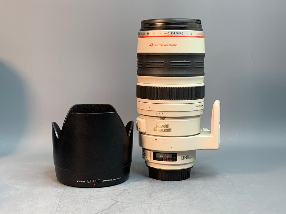 Canon EF 100-400mm 4.5-5.6L IS