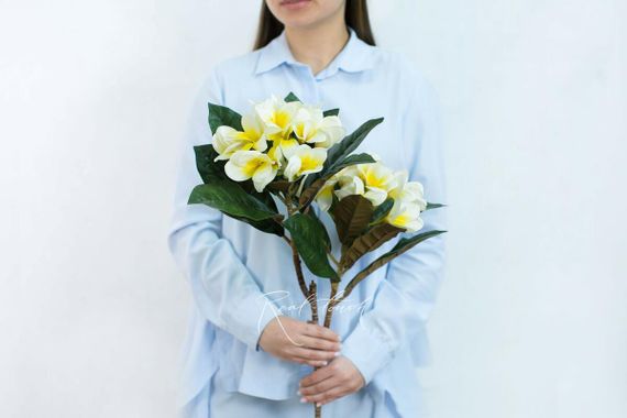Плюмерия с 2-я ответвлениями - Белый