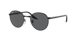 RAY-BAN RB3691 002/B1